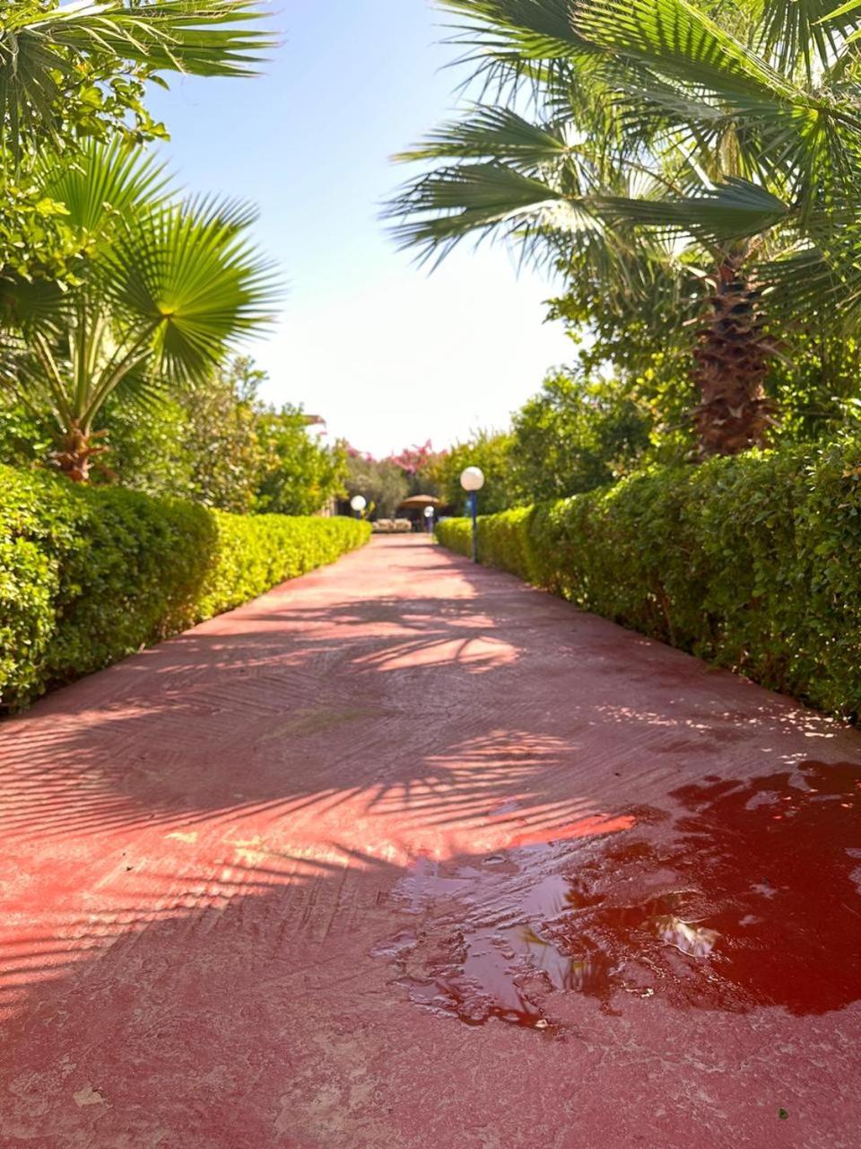 Villa Ms Holidays Mika Privatisee Marrakech Marrakesh Exteriör bild