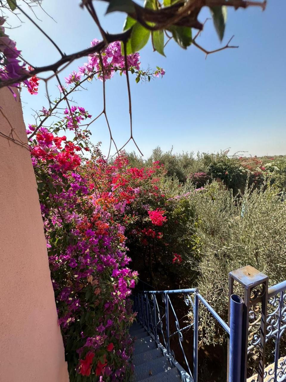 Villa Ms Holidays Mika Privatisee Marrakech Marrakesh Exteriör bild
