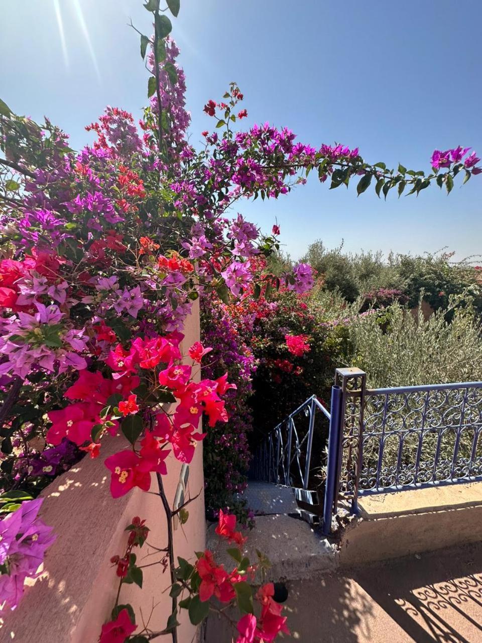 Villa Ms Holidays Mika Privatisee Marrakech Marrakesh Exteriör bild